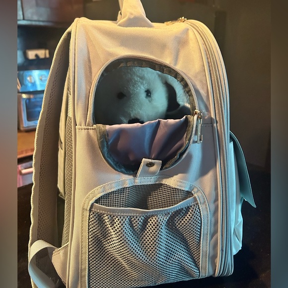 Small dog backpack - Picture 2 of 9